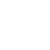TikTokicon